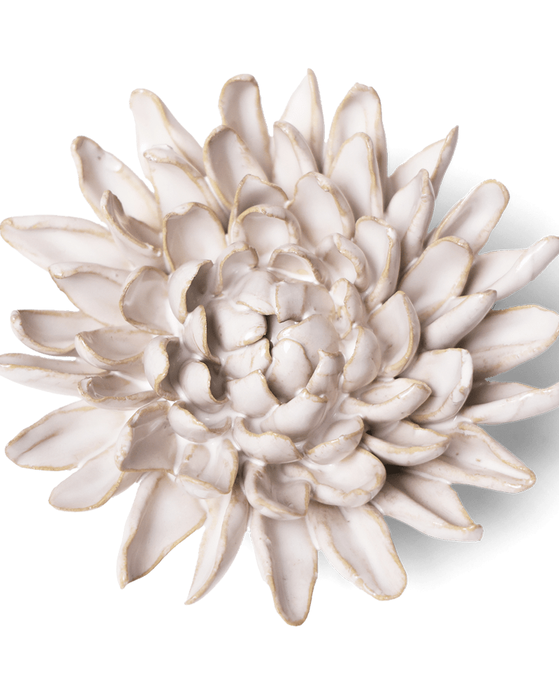 Coastal Ceramic Flower Ivory Chrysanthemum - Chive UK Wholesale