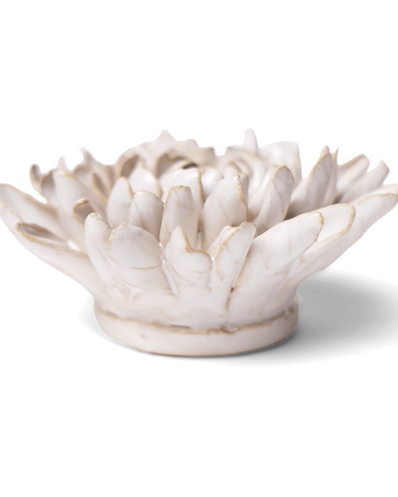 Coastal Ceramic Flower Ivory Chrysanthemum - Chive UK Wholesale