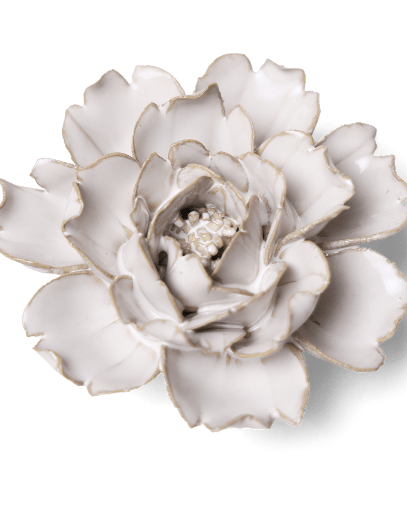 Coastal Ceramic Flower Ivory Rose - Chive UK Wholesale