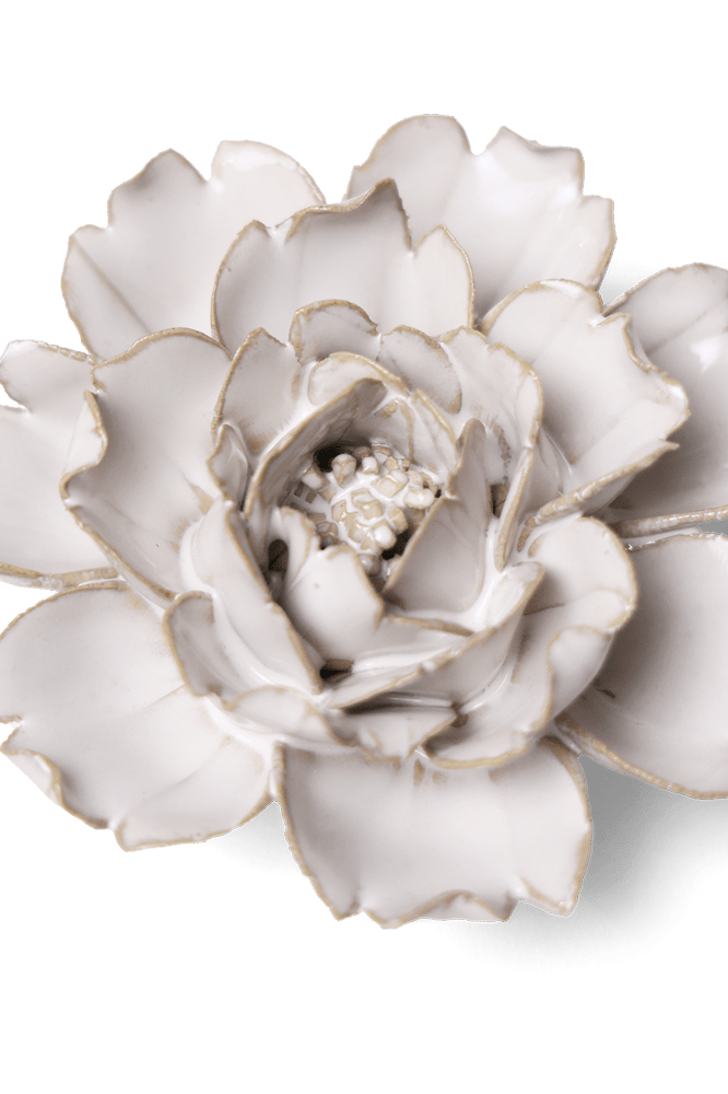 Coastal Ceramic Flower Ivory Rose - Chive UK Wholesale