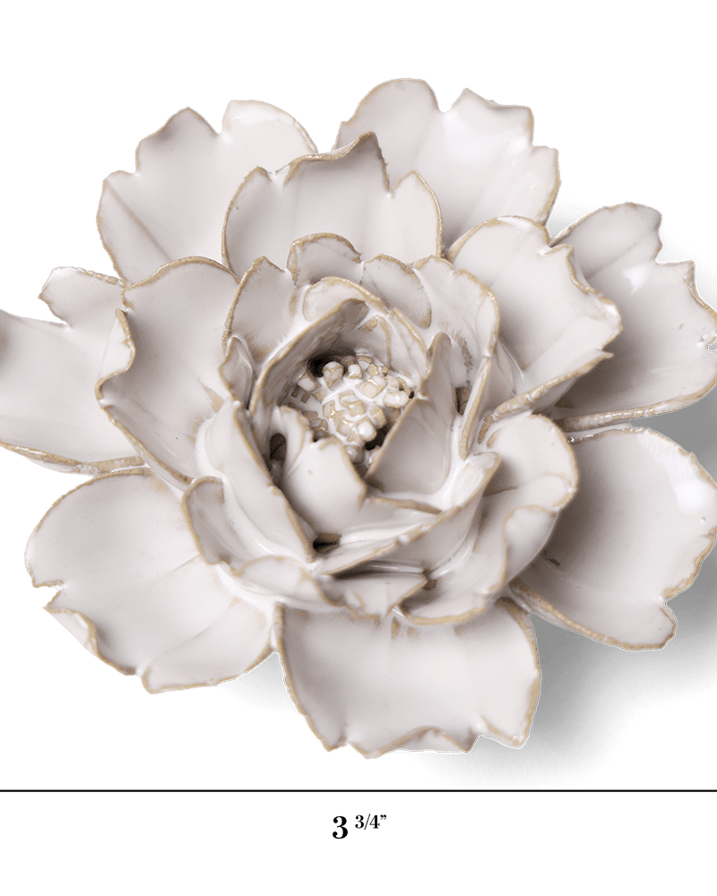 Coastal Ceramic Flower Ivory Rose - Chive UK Wholesale