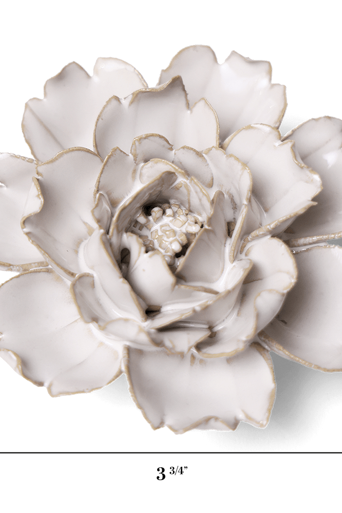 Coastal Ceramic Flower Ivory Rose - Chive UK Wholesale