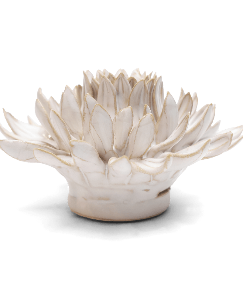 Coastal Ceramic Flower Ivory Spider Mum - Chive UK Wholesale