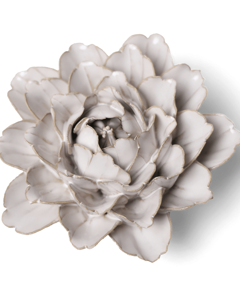 Coastal Ceramic Flower Ivory Zinnia - Chive UK Wholesale