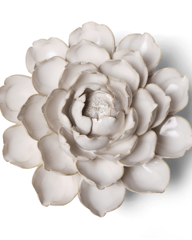 Coastal Ceramic Flower Ivory Cabbage Flower - Chive UK Wholesale