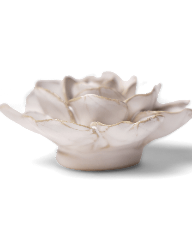 Coastal Ceramic Flower Ivory Ranunculus - Chive UK Wholesale