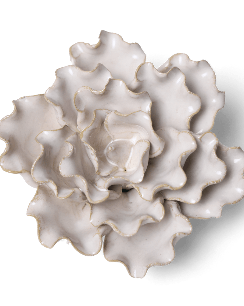 Coastal Ceramic Flower Ivory Sea Lettuce Medium - Chive UK Wholesale