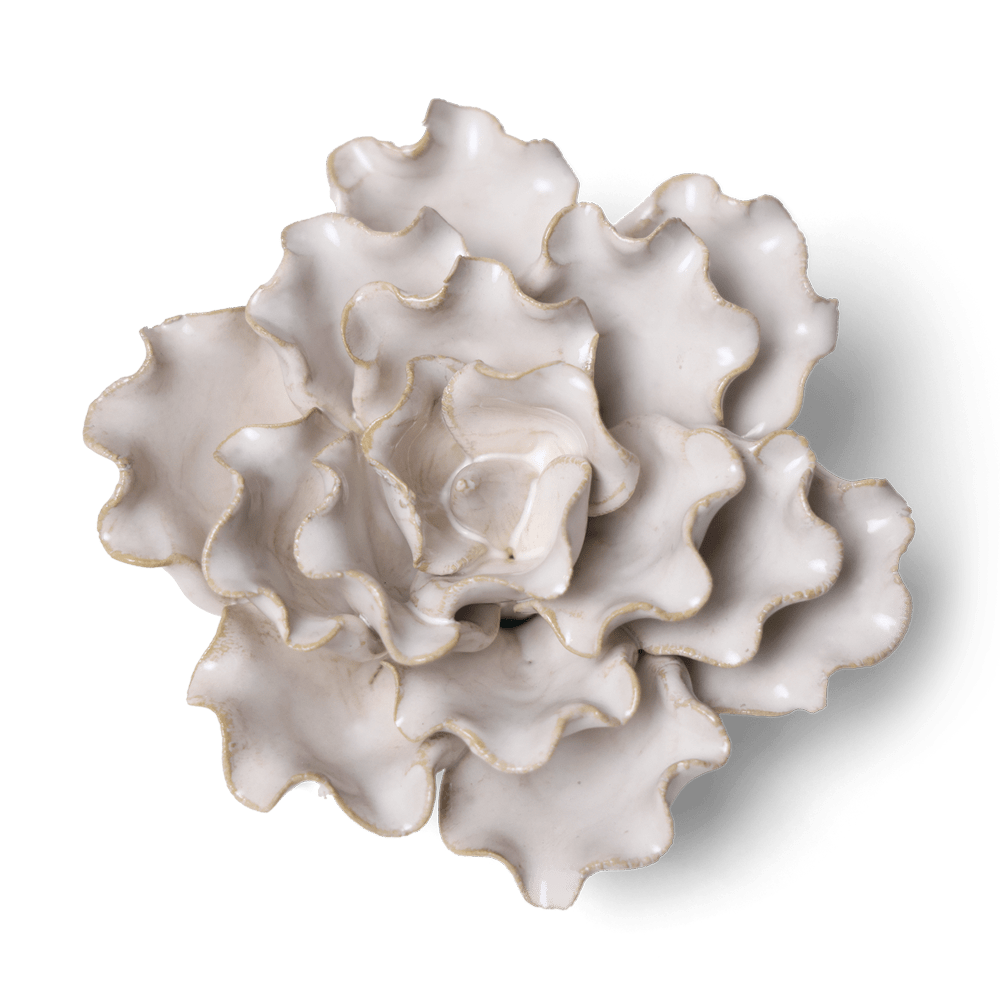 Coastal Ceramic Flower Ivory Sea Lettuce Medium - Chive UK Wholesale