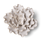 Coastal Ceramic Flower Ivory Sea Lettuce Medium - Chive UK Wholesale