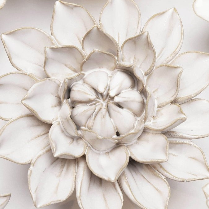 CO01 Ivory Monch Aster - Chive UK Wholesale