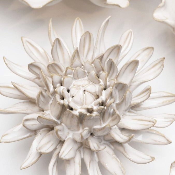 CO04 Ivory Spider Mum - Chive UK Wholesale