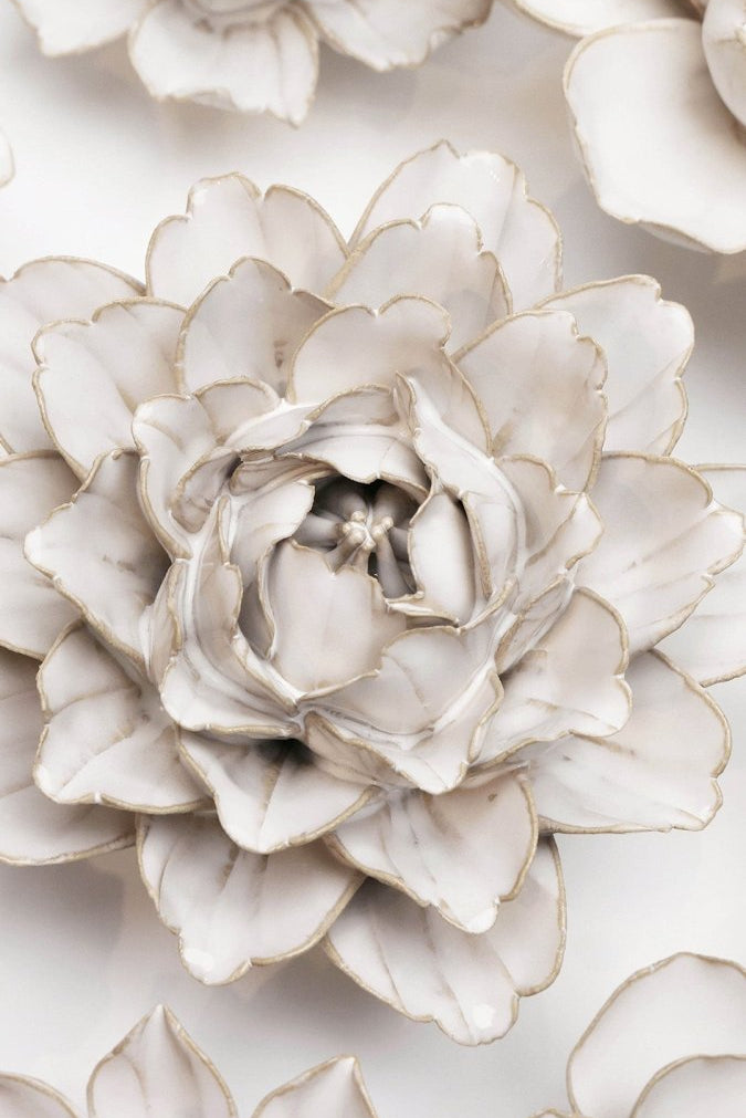 CO05 Ivory Comanche Peony - Chive UK Wholesale