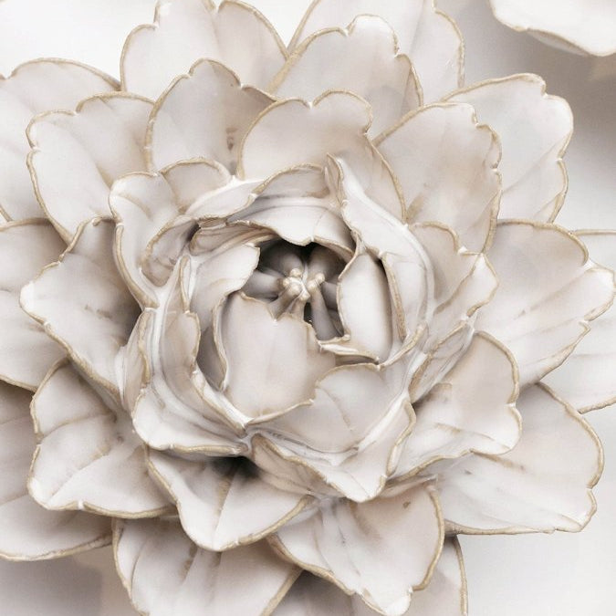 CO05 Ivory Comanche Peony - Chive UK Wholesale