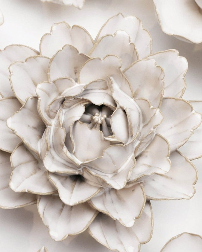 CO05 Ivory Comanche Peony - Chive UK Wholesale