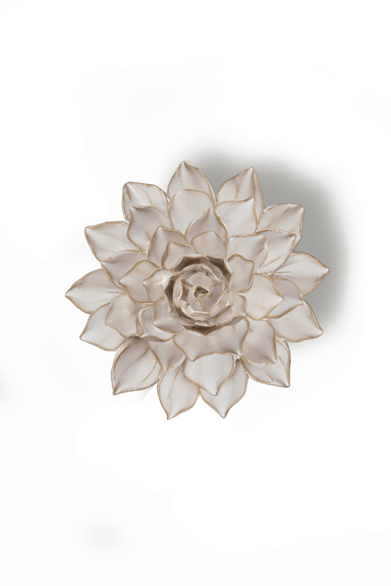 Coastal Ivory Madonna Azalea - Chive UK Wholesale
