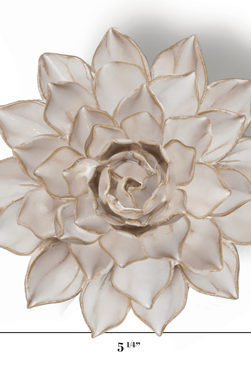 Coastal Ivory Madonna Azalea - Chive UK Wholesale