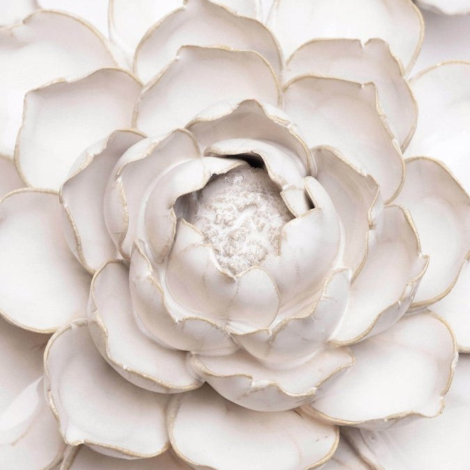 CO07 Ivory Empire Cabbage Flower - Chive UK Wholesale