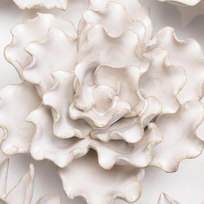 CO14 Ivory Sea Lettuce Medium - Chive UK Wholesale