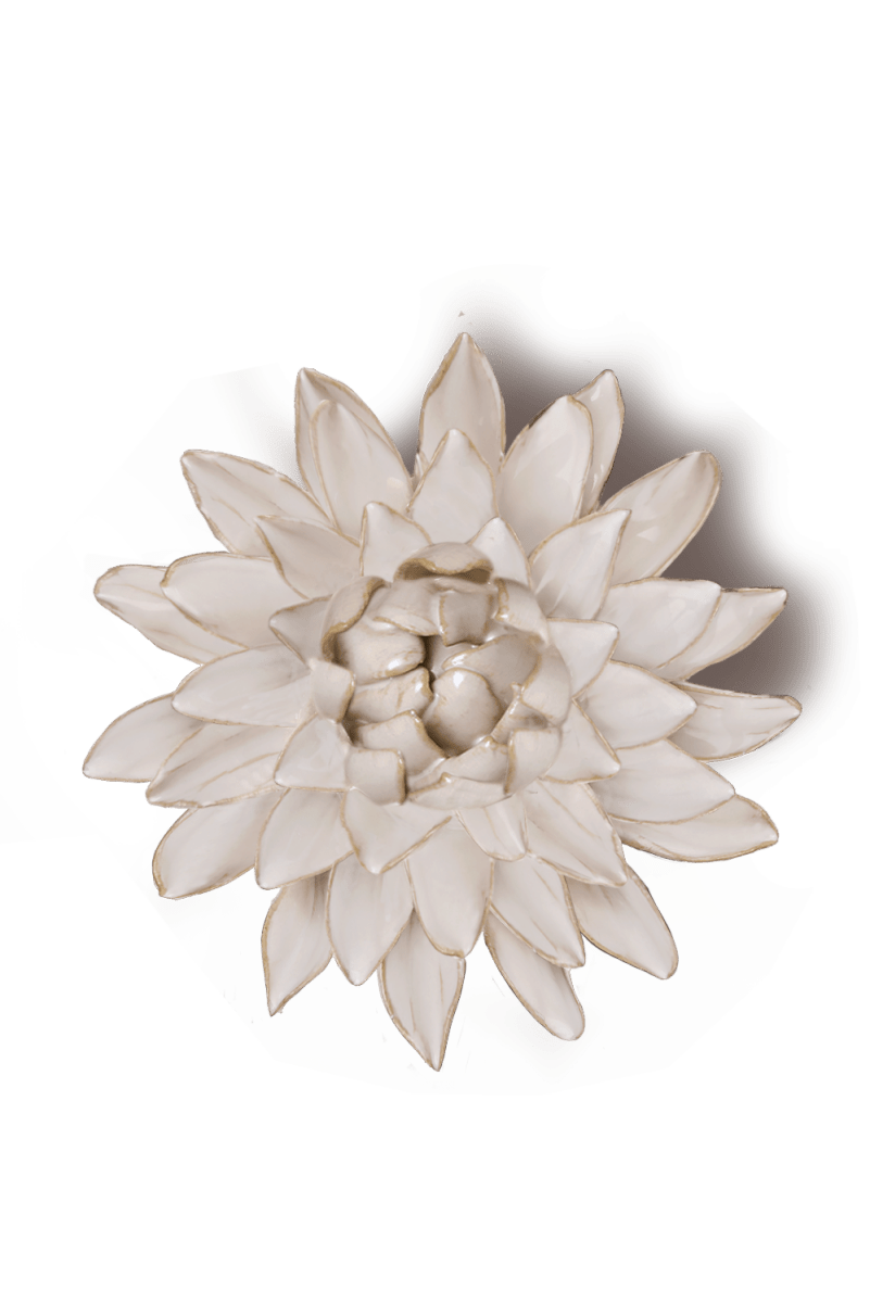 CO10 Coastal Ivory Strawflower - Coastal - Chive UK Wholesale