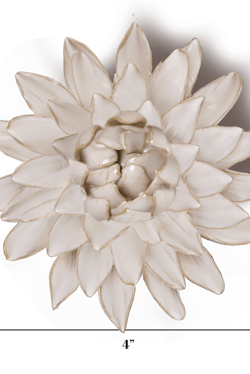 CO10 Coastal Ivory Strawflower - Coastal - Chive UK Wholesale