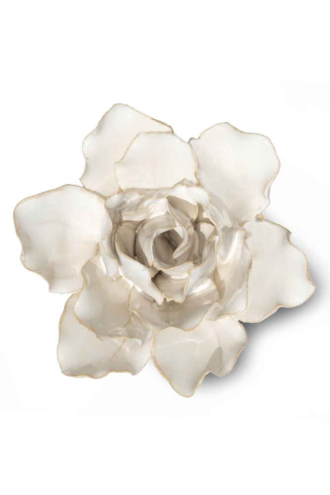 CO11 Ivory Stargazer Lily - Coastal - Chive UK Wholesale