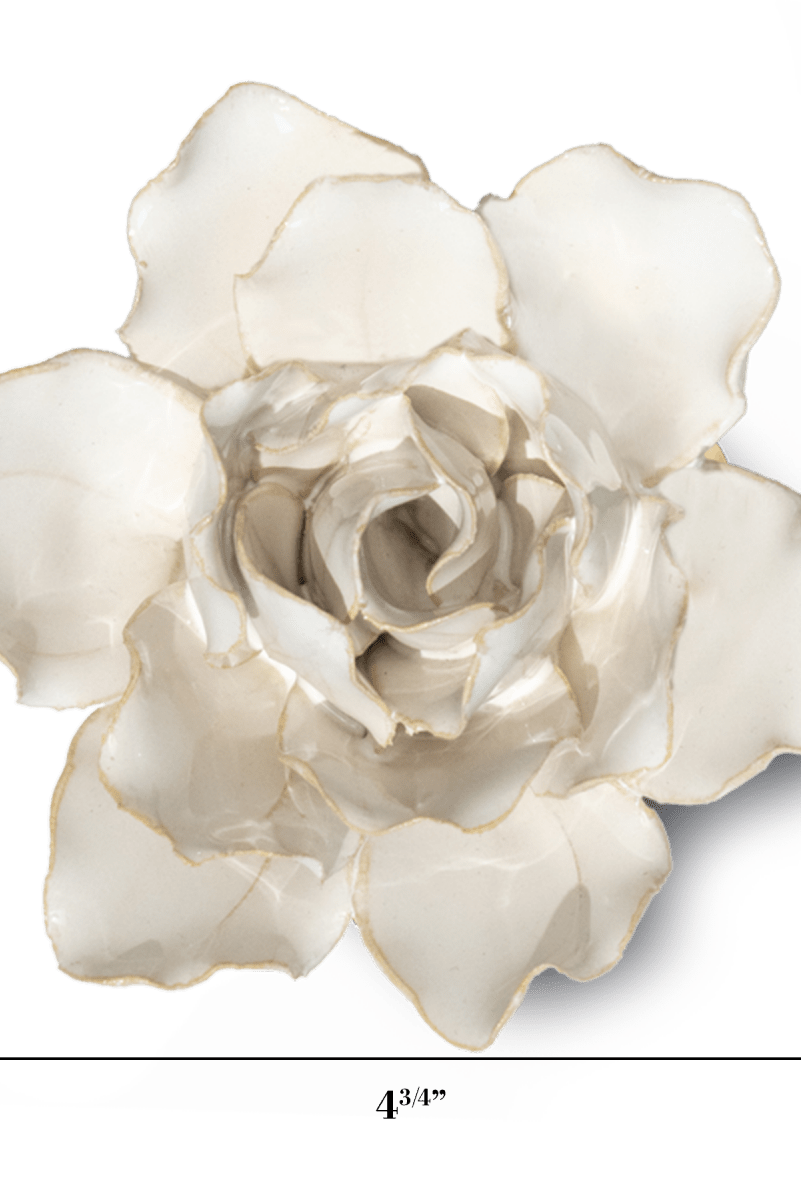 CO11 Ivory Stargazer Lily - Coastal - Chive UK Wholesale
