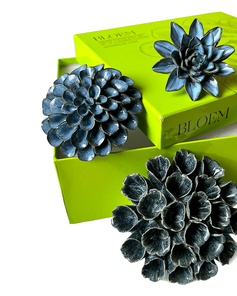 Ceramic Flower Bloem Box Set - Chive UK Wholesale