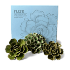 Ceramic Flower Fleur Box Set - Chive UK Wholesale