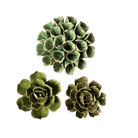 Ceramic Flower Fleur Box Set - Chive UK Wholesale