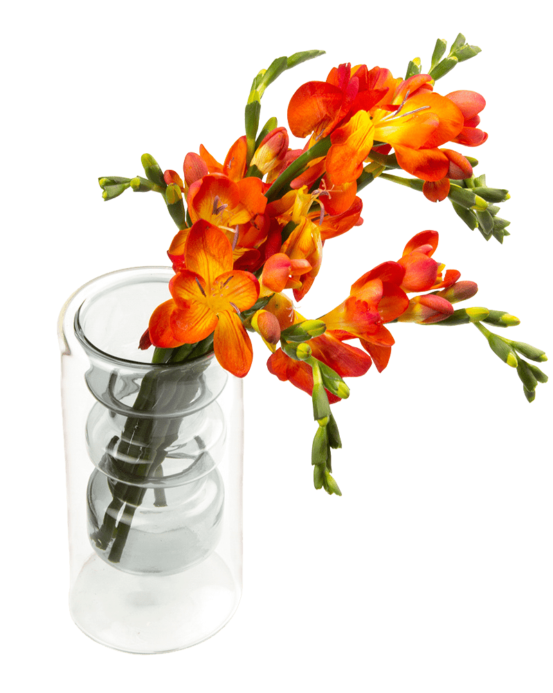 Cylinder Glass Modern Flower Vase - Chive UK Wholesale