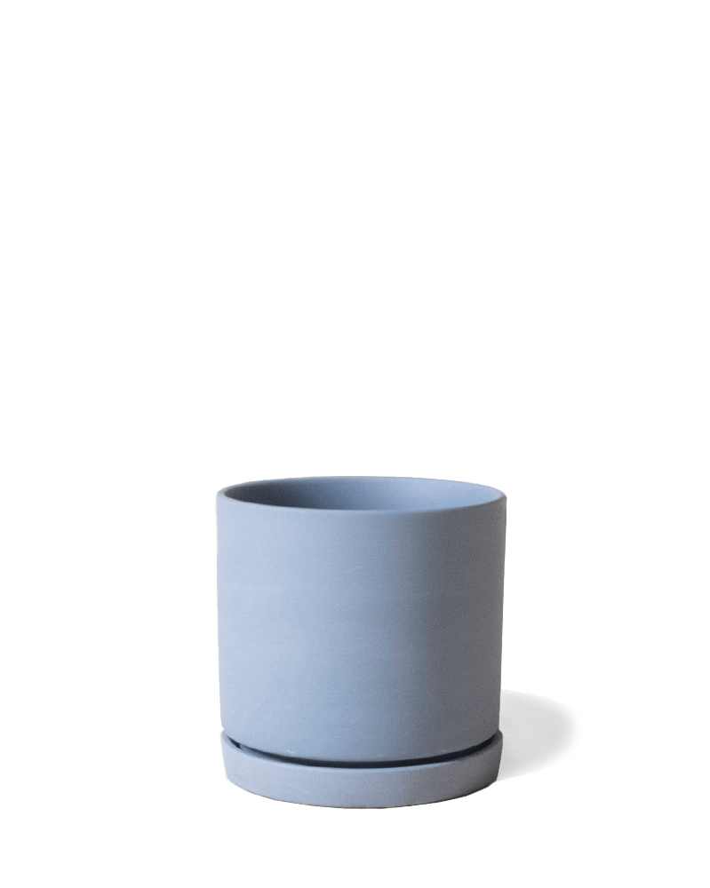 Dojo Porcelain Modern Indoor Plant Pot With Saucer - Chive UK Wholesale