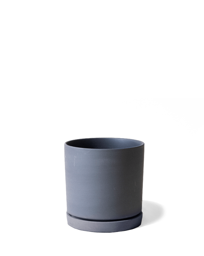 Dojo Porcelain Modern Indoor Plant Pot With Saucer - Chive UK Wholesale