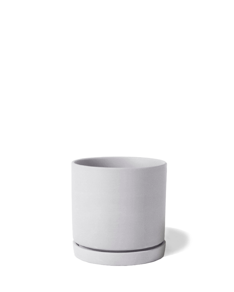 Dojo Porcelain Modern Indoor Plant Pot With Saucer - Chive UK Wholesale