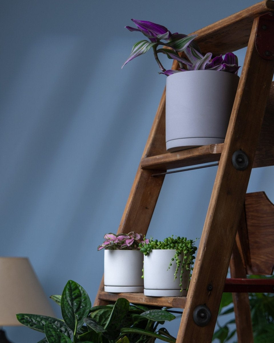 Dojo Porcelain Modern Indoor Plant Pot With Saucer - Chive UK Wholesale