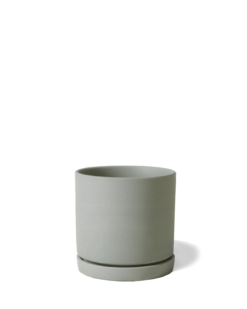 Dojo Porcelain Modern Indoor Plant Pot With Saucer - Chive UK Wholesale