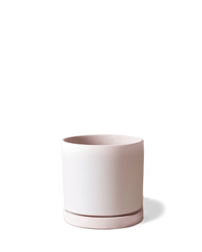 Dojo Porcelain Modern Indoor Plant Pot With Saucer - Chive UK Wholesale