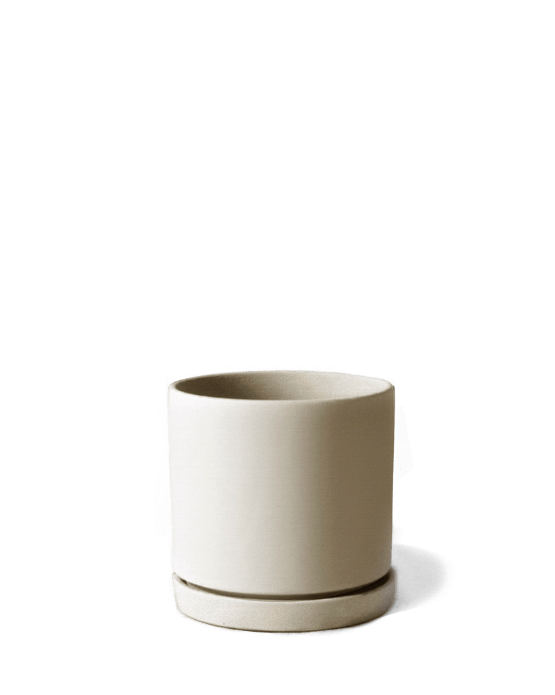 Dojo Porcelain Modern Indoor Plant Pot With Saucer - Chive UK Wholesale