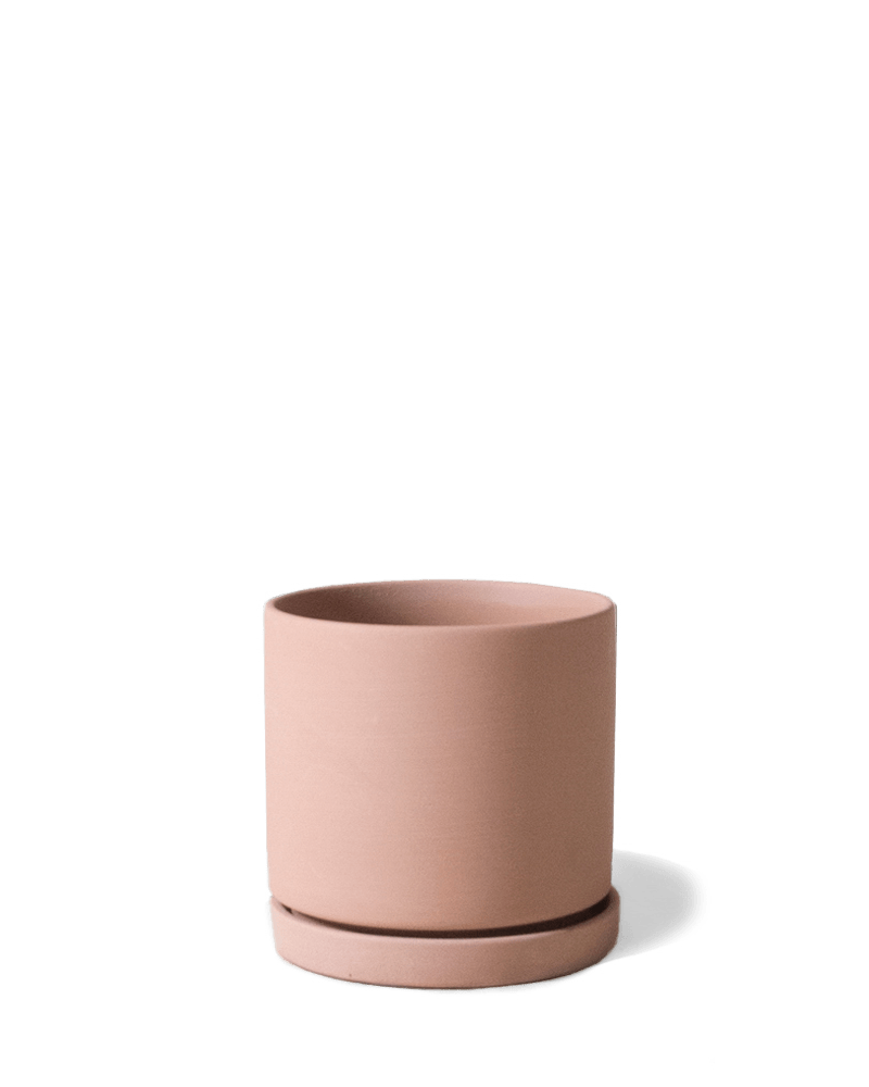 Dojo Porcelain Modern Indoor Plant Pot With Saucer - Chive UK Wholesale