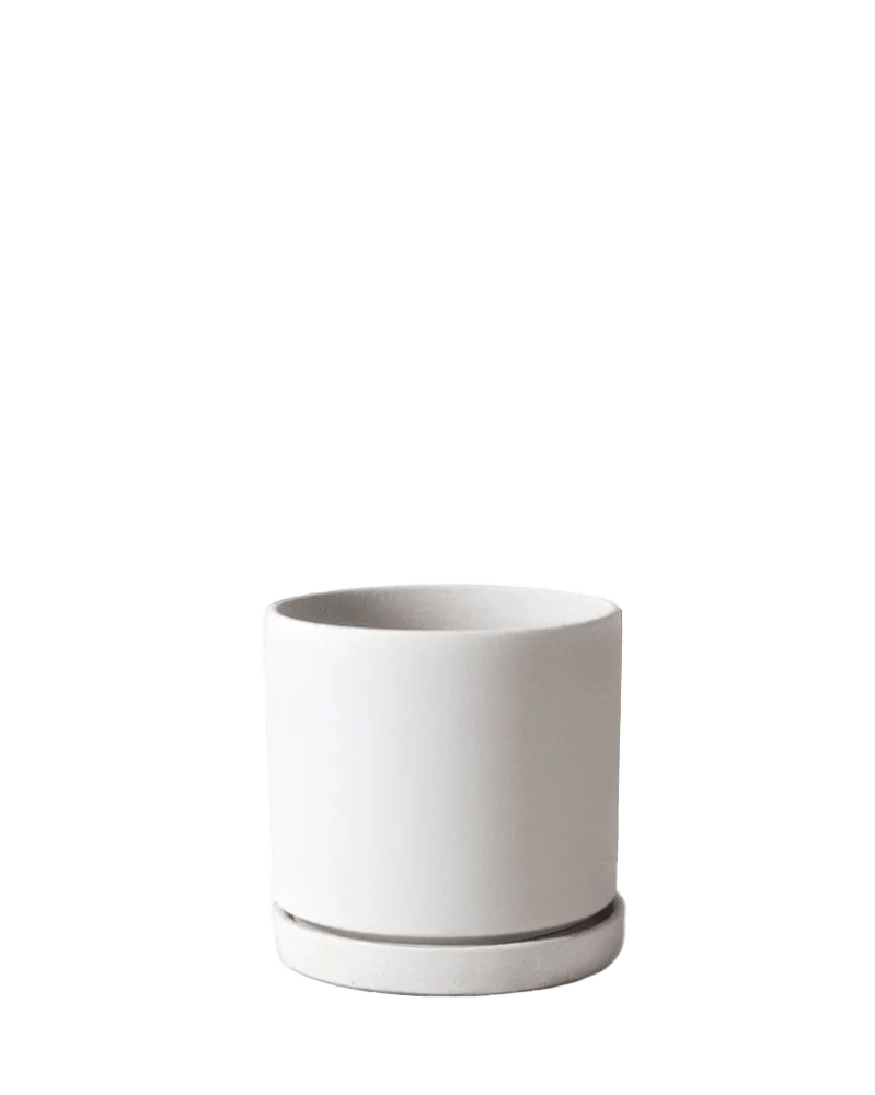 Dojo Porcelain Modern Indoor Plant Pot With Saucer - Chive UK Wholesale