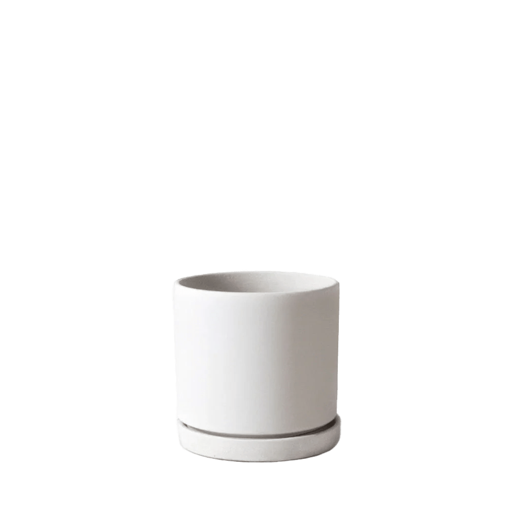 Dojo Porcelain Modern Indoor Plant Pot With Saucer - Chive UK Wholesale