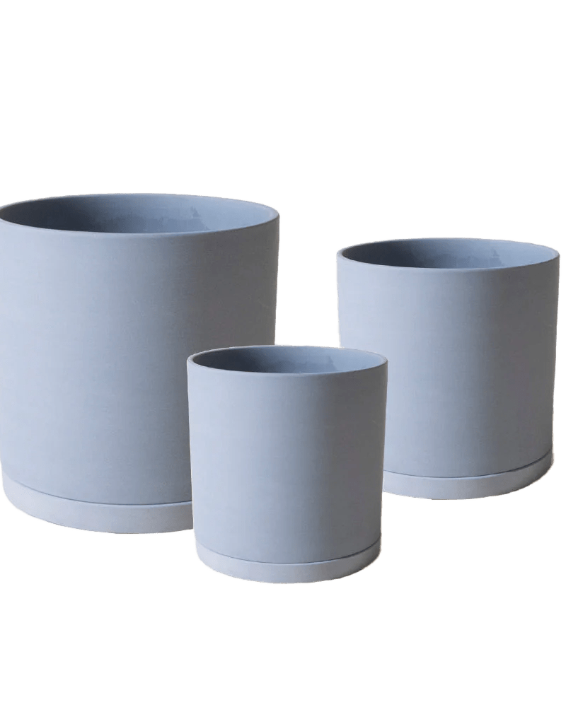 Dojo Porcelain Modern Indoor Plant Pot With Saucer - Chive UK Wholesale
