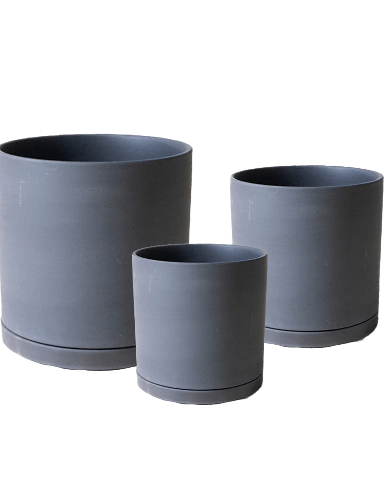 Dojo Porcelain Modern Indoor Plant Pot With Saucer - Chive UK Wholesale