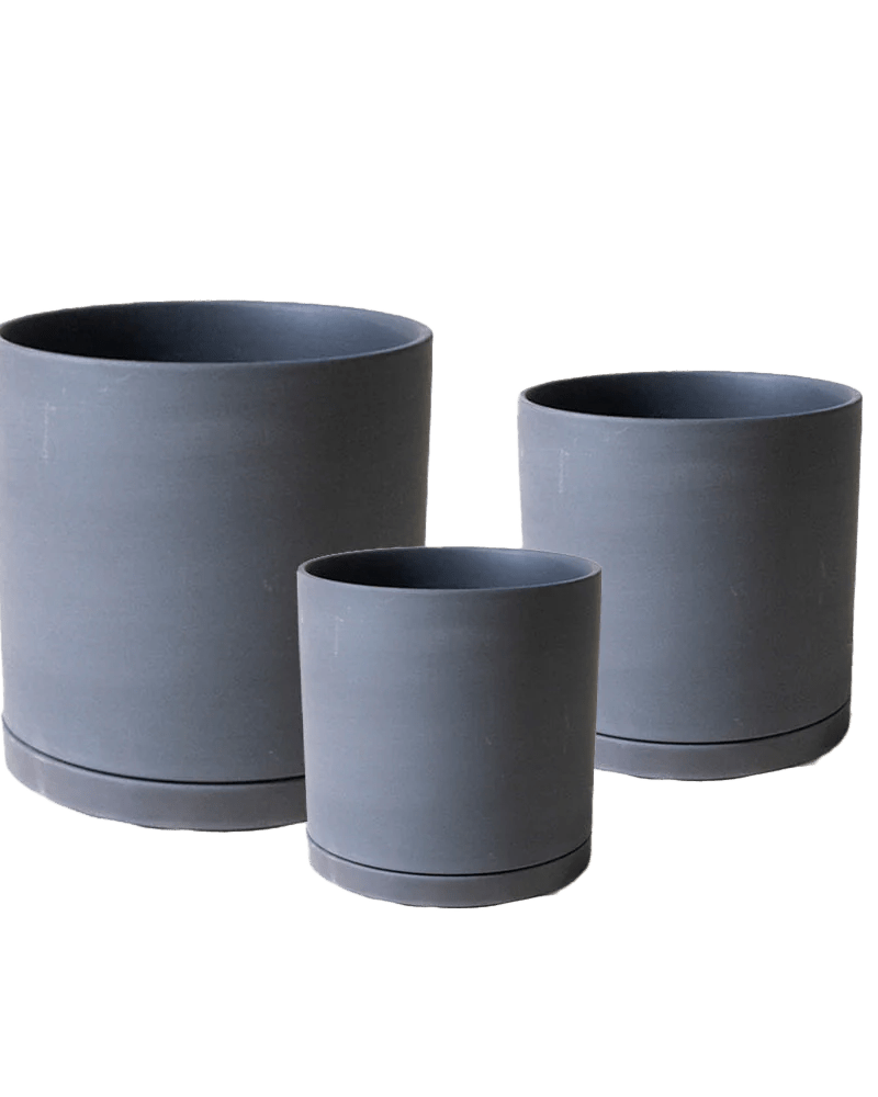 Dojo Porcelain Modern Indoor Plant Pot With Saucer - Chive UK Wholesale