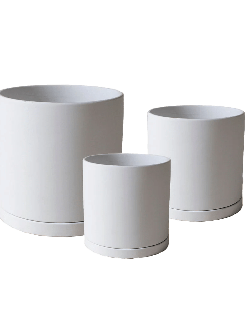 Dojo Porcelain Modern Indoor Plant Pot With Saucer - Chive UK Wholesale