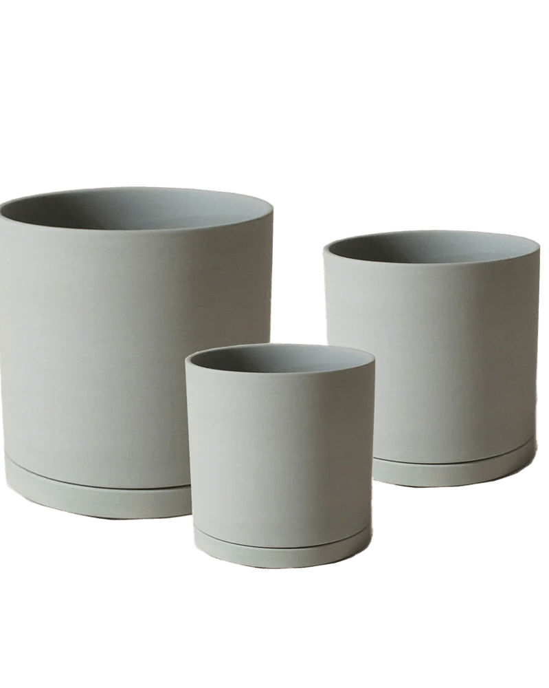 Dojo Porcelain Modern Indoor Plant Pot With Saucer - Chive UK Wholesale