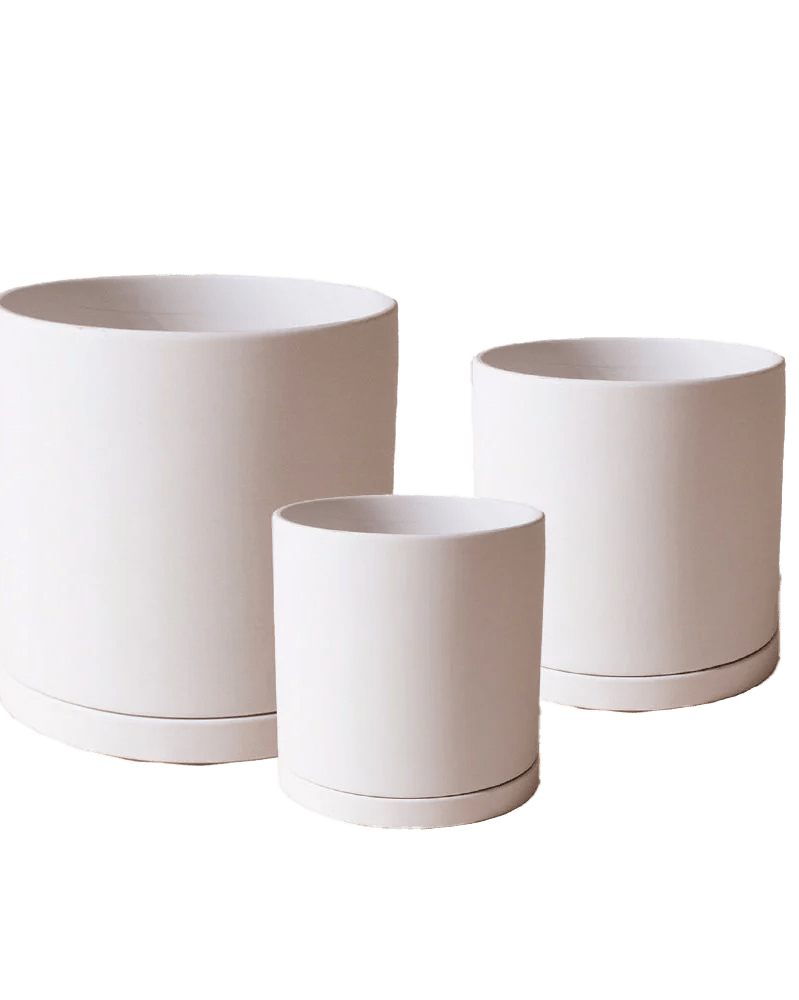 Dojo Porcelain Modern Indoor Plant Pot With Saucer - Chive UK Wholesale