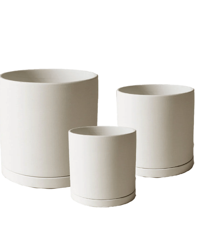 Dojo Porcelain Modern Indoor Plant Pot With Saucer - Chive UK Wholesale