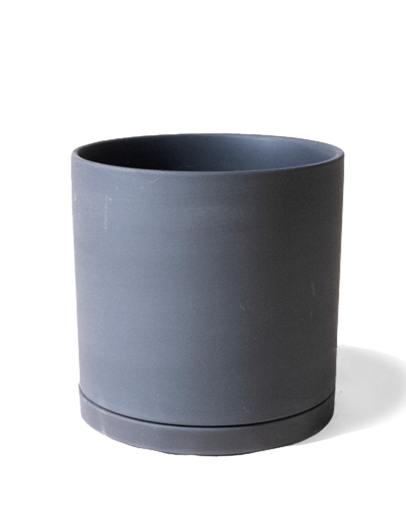 Dojo Porcelain Modern Indoor Plant Pot With Saucer Sets - Chive UK Wholesale