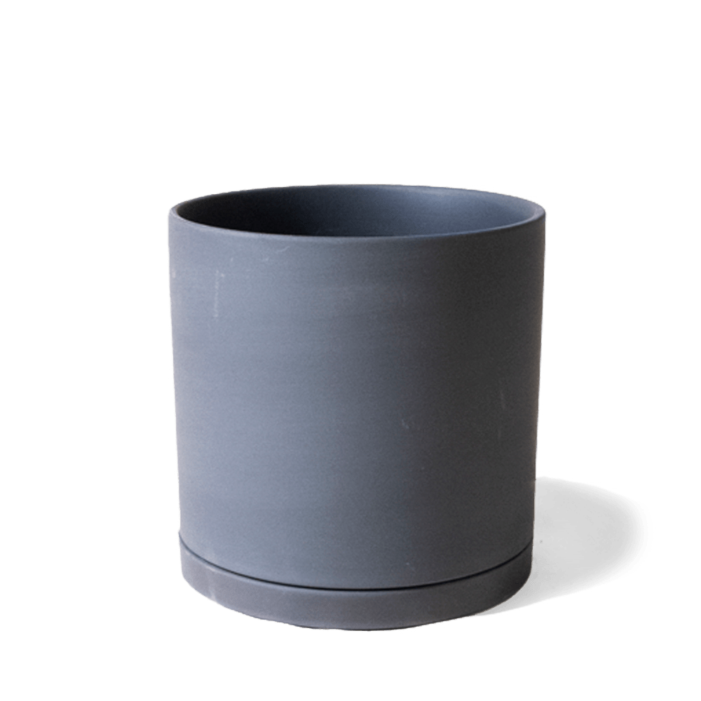 Dojo Porcelain Modern Indoor Plant Pot With Saucer Sets - Chive UK Wholesale