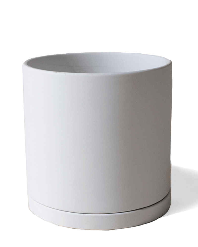 Dojo Porcelain Modern Indoor Plant Pot With Saucer Sets - Chive UK Wholesale
